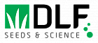 DLF
